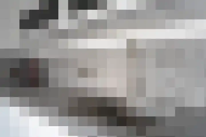 President Kennedylaan 83 Oegstgeest thumbnail 6