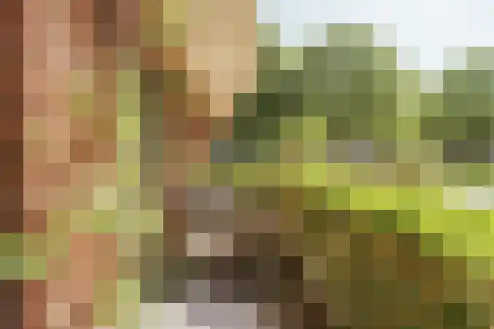 President Kennedyplantsoen 3 Amsterdam thumbnail 16