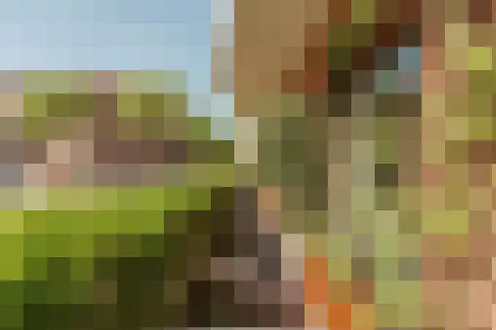 President Kennedyplantsoen 3 Amsterdam thumbnail 17