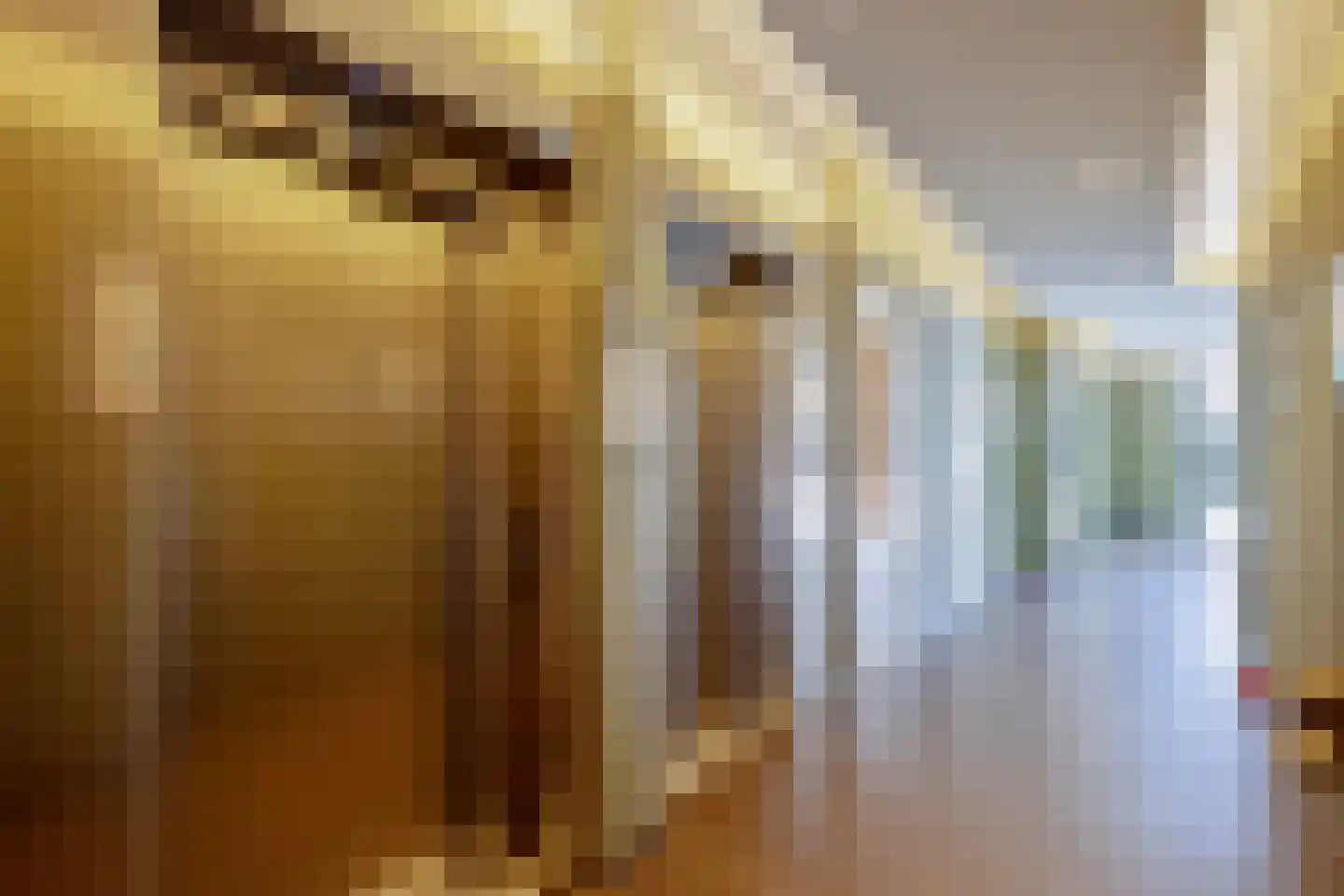 President Kennedyplein 169 Beverwijk thumbnail 24