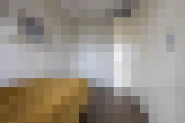 President Kennedyplein 209 Beverwijk thumbnail 30