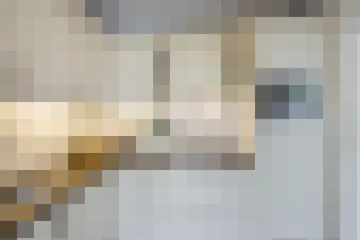 President Kennedystraat 14 Vroomshoop thumbnail 16