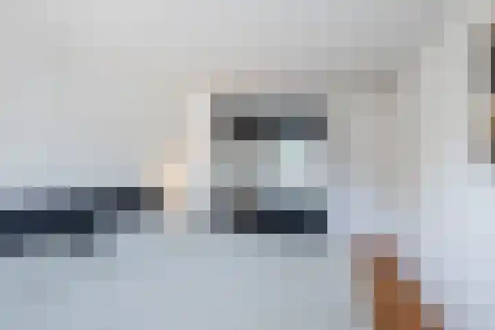 President Kennedystraat 14 Vroomshoop thumbnail 21