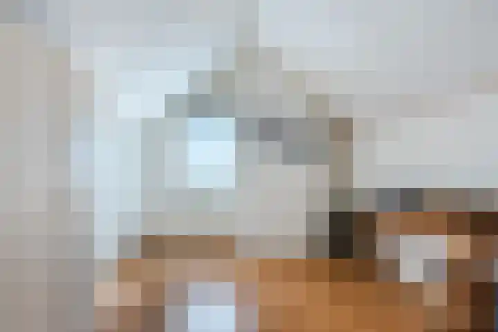 President Kennedystraat 14 Vroomshoop thumbnail 33