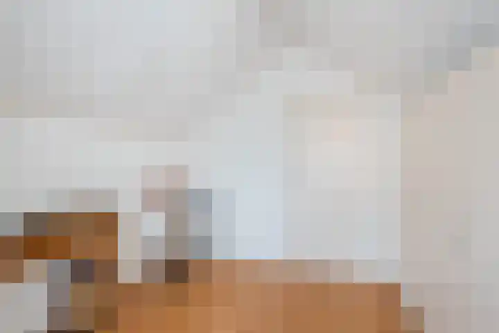 President Kennedystraat 14 Vroomshoop thumbnail 34
