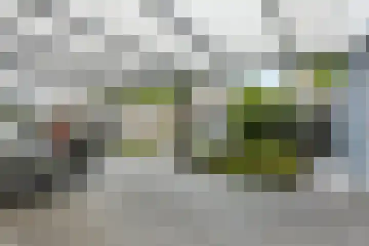 President Kennedystraat 14 Vroomshoop thumbnail 4