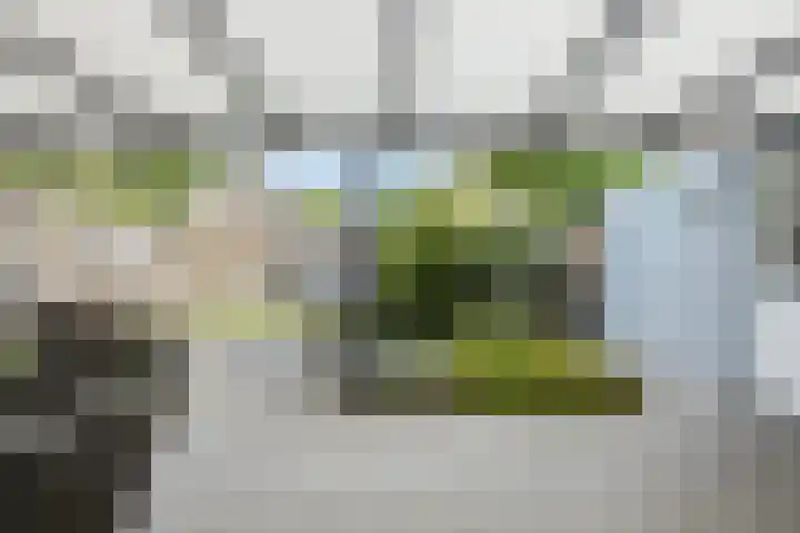 President Kennedystraat 14 Vroomshoop thumbnail 44