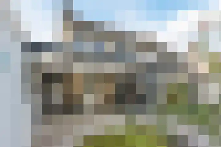 President Kennedystraat 14 Vroomshoop thumbnail 48