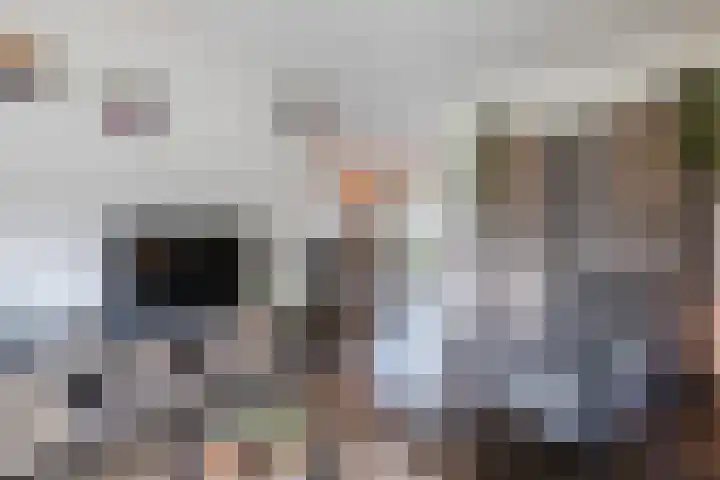 President Kennedystraat 14 Vroomshoop thumbnail 8