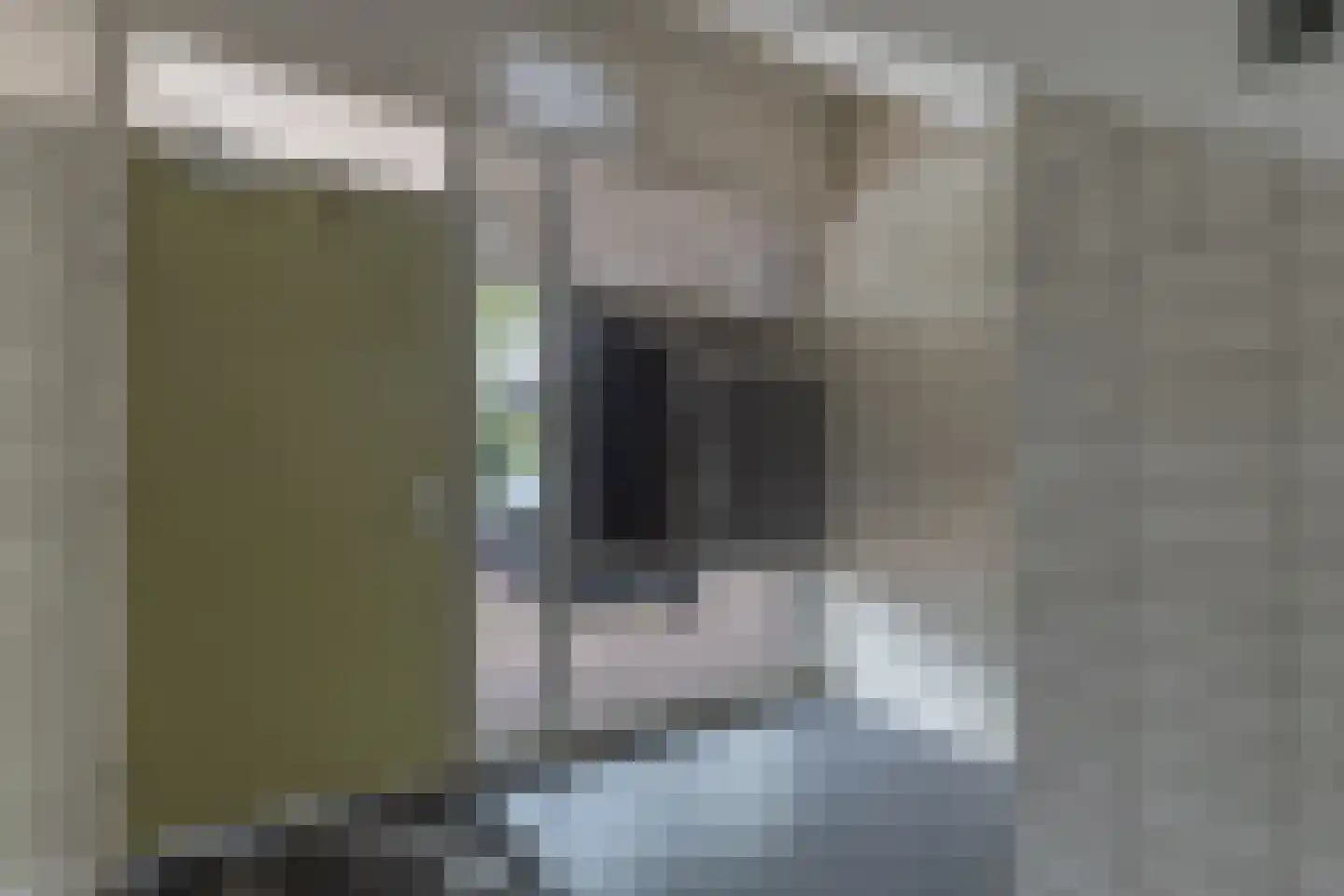President Kennedystraat 21 Steenwijk thumbnail 31