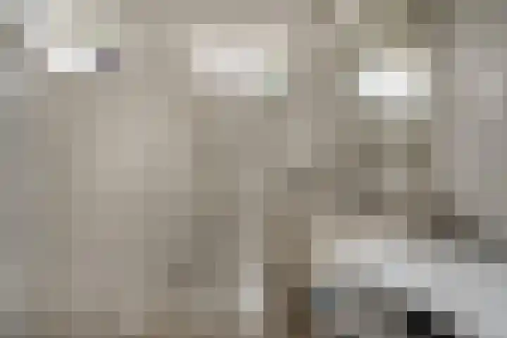 President Kennedystraat 25 Hedel thumbnail 17