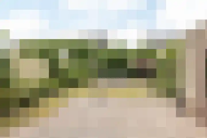 President Kennedystraat 37 Schinveld thumbnail 30