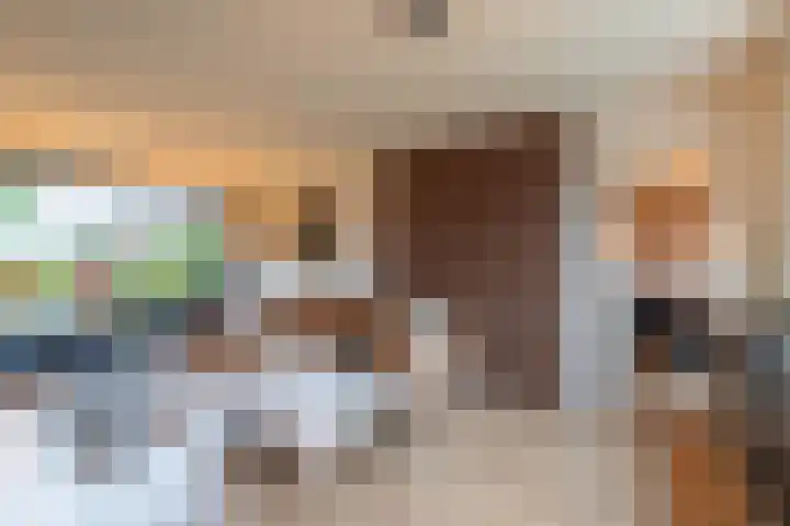 President Kennedystraat 46 Vroomshoop thumbnail 13