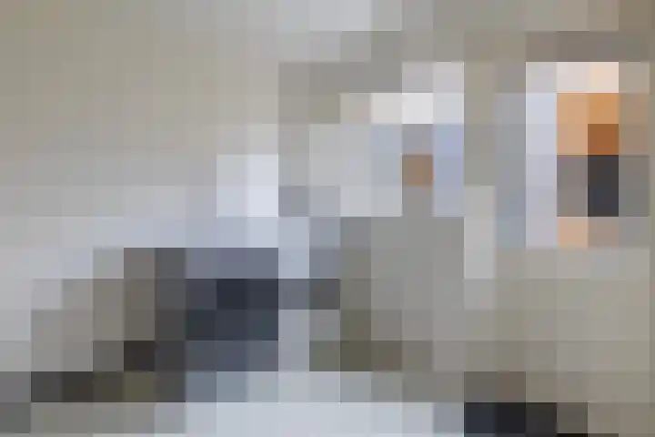 President Kennedystraat 46 Vroomshoop thumbnail 18