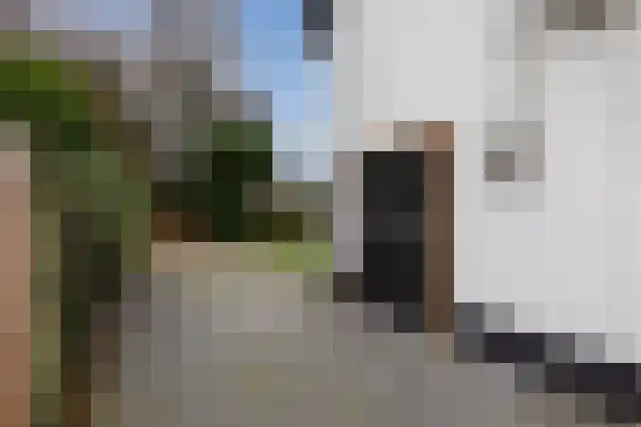 President Kennedystraat 46 Vroomshoop thumbnail 31