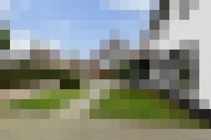 President Kennedystraat 46 Vroomshoop thumbnail 32