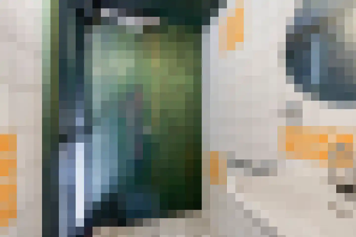 President Reitzlaan 11 Eindhoven thumbnail 18