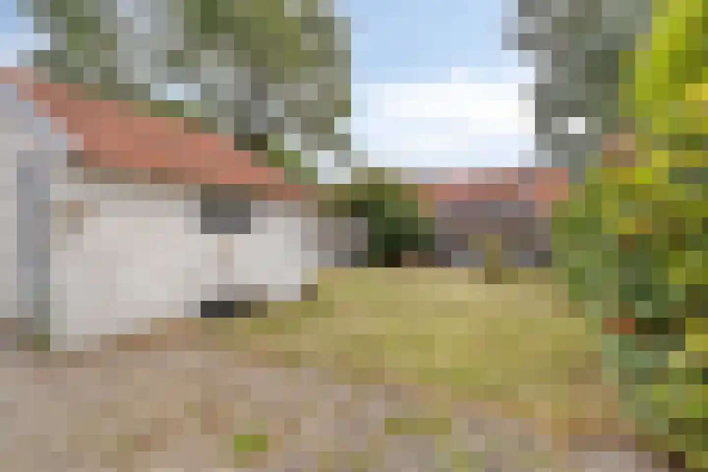 President Reitzlaan 11 Eindhoven thumbnail 26