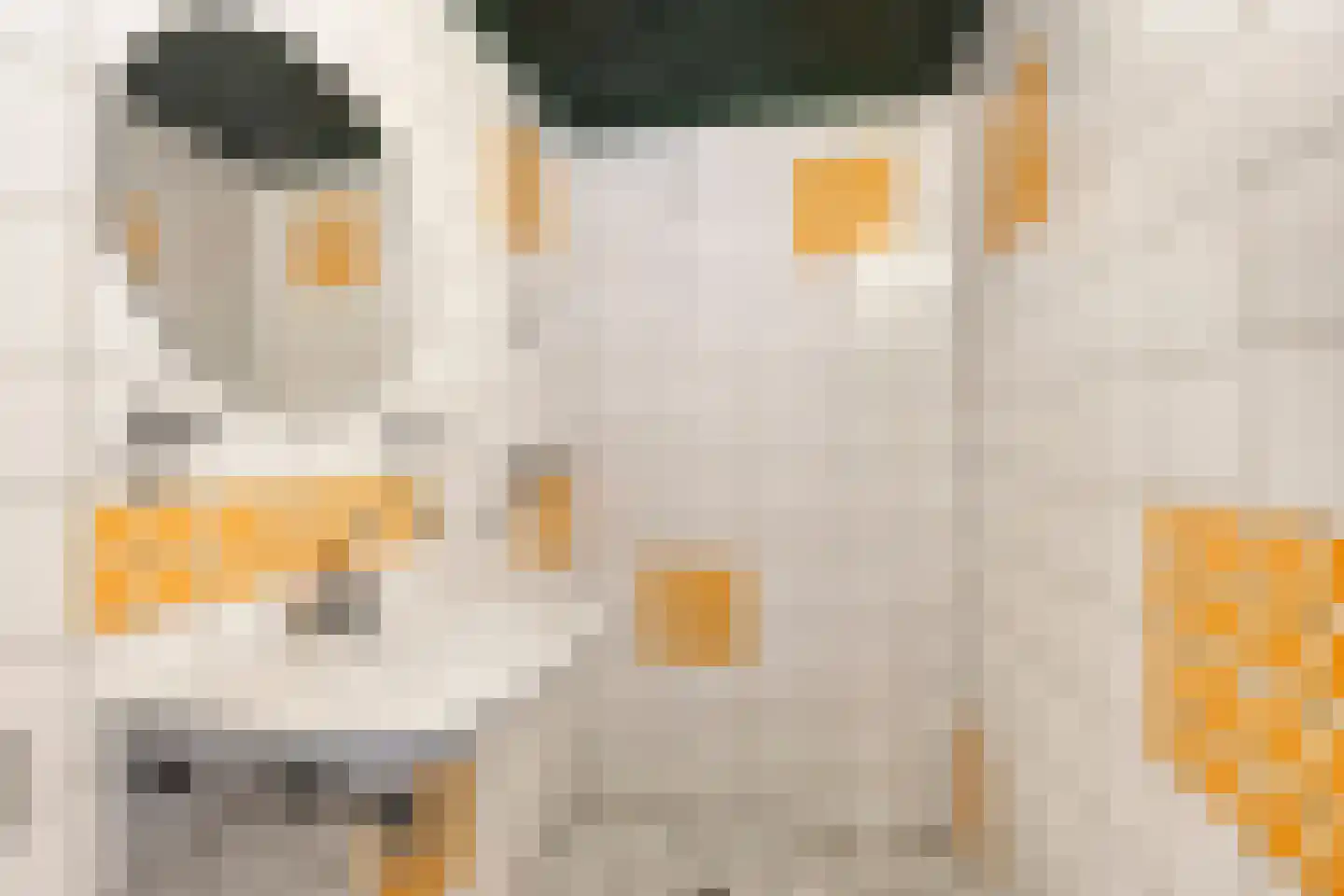 President Reitzlaan 11 Eindhoven thumbnail 4