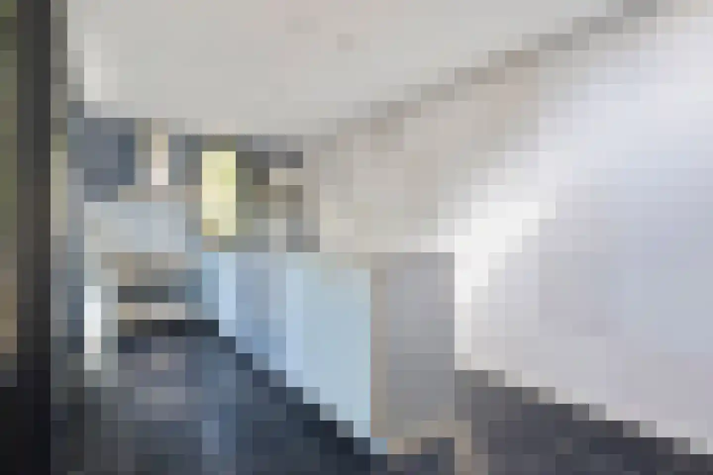President Reitzlaan 24 Eindhoven thumbnail 17