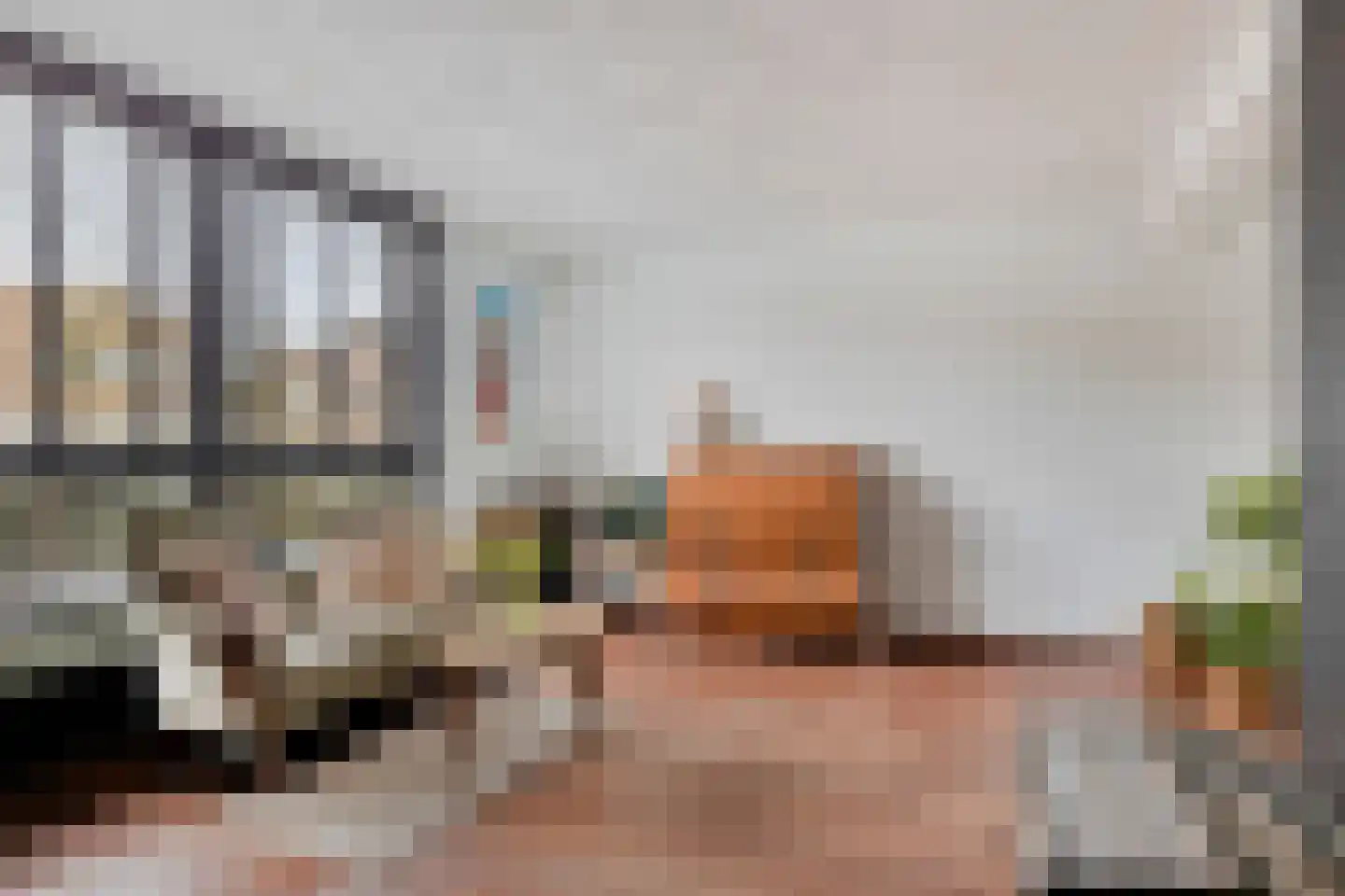President Reitzlaan 24 Eindhoven thumbnail 18