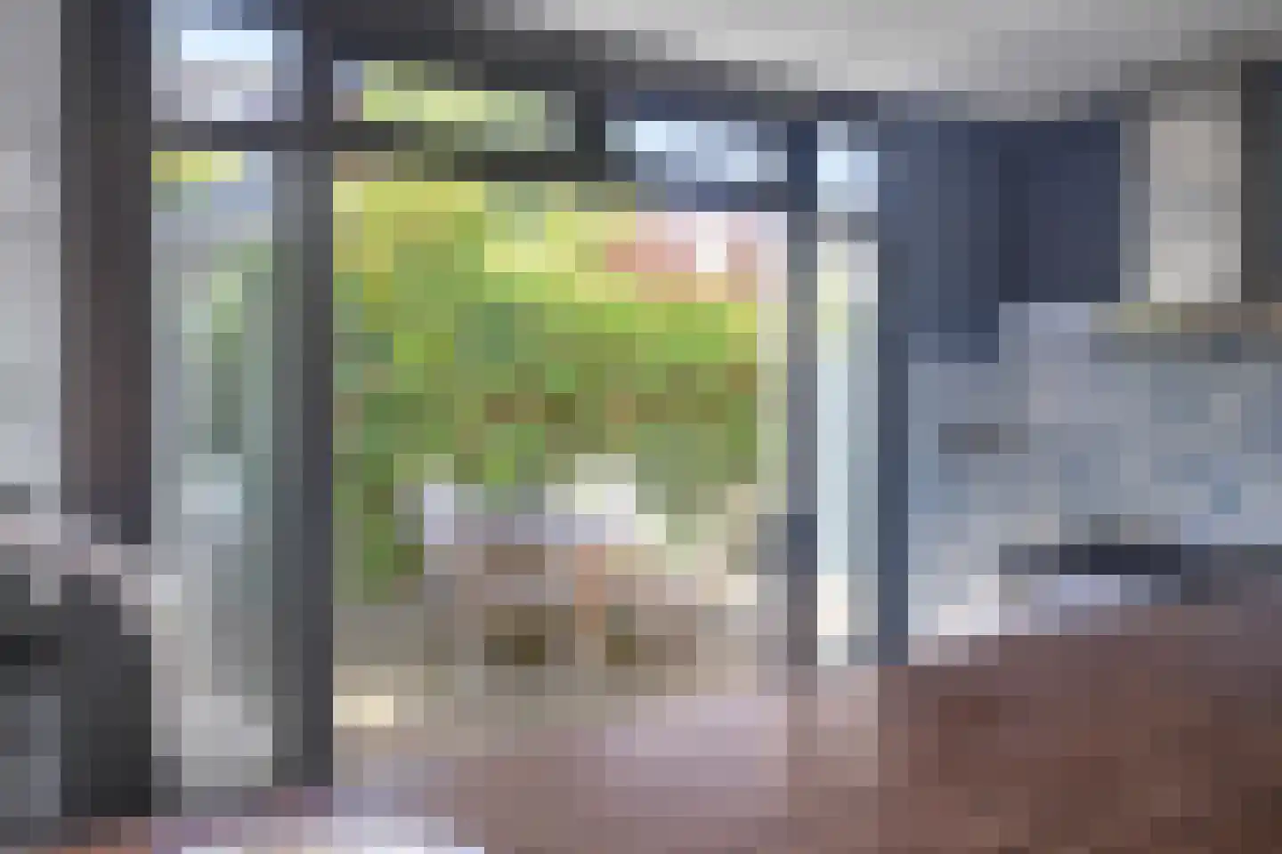 President Reitzlaan 24 Eindhoven thumbnail 20