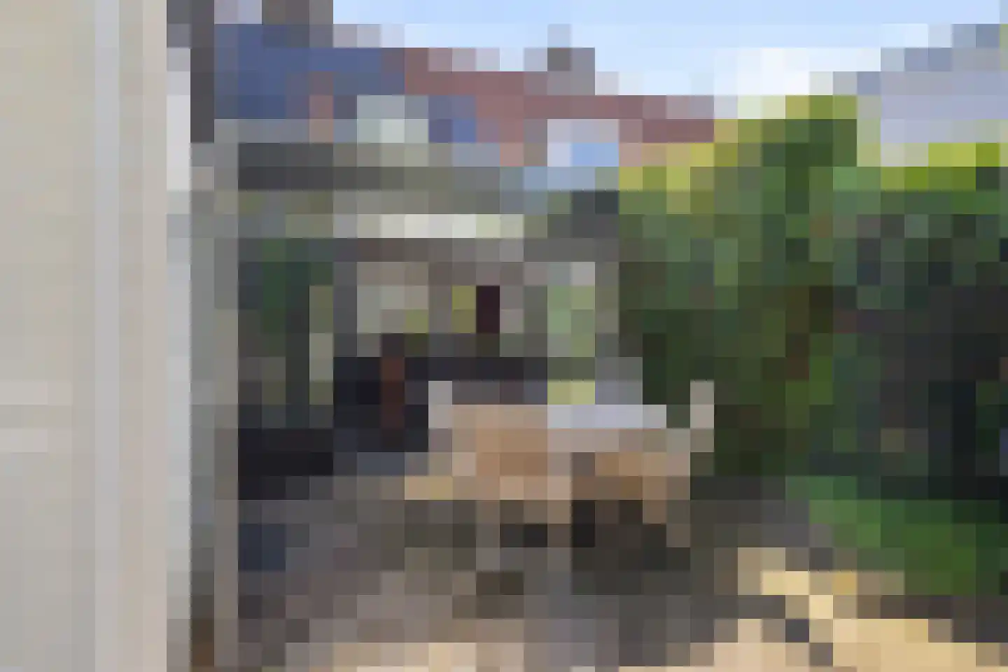 President Reitzlaan 24 Eindhoven thumbnail 34