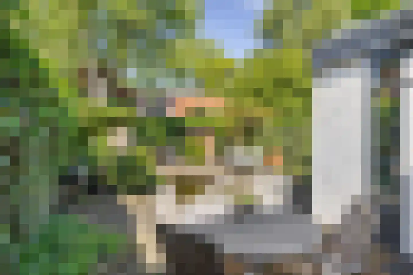 President Reitzlaan 24 Eindhoven thumbnail 35