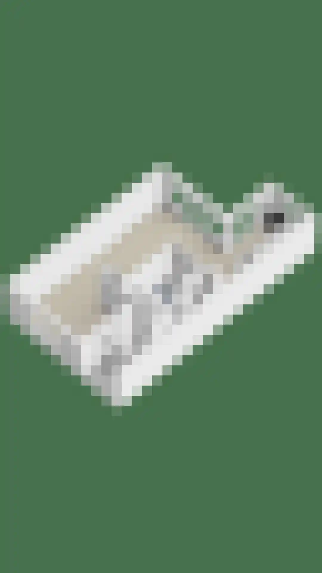 President Reitzlaan 24 Eindhoven thumbnail 62