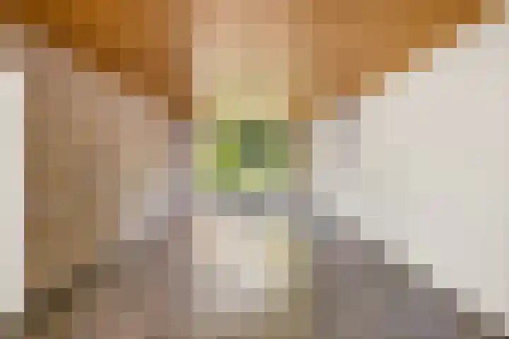 President Rooseveltlaan 126 Vlissingen thumbnail 11