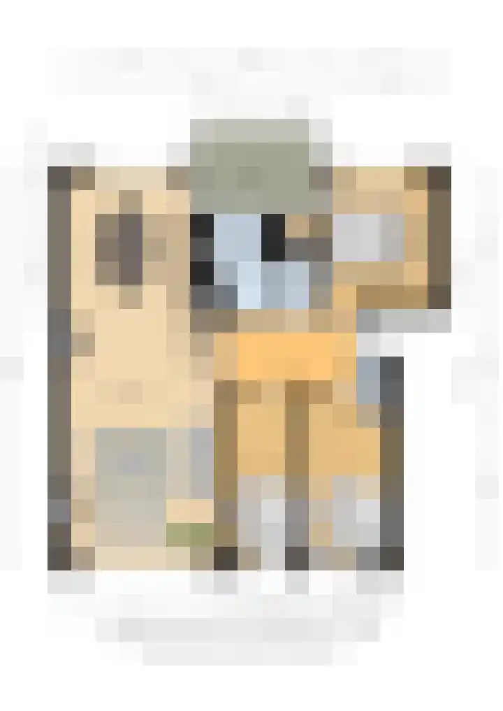 President Rooseveltlaan 126 Vlissingen thumbnail 27