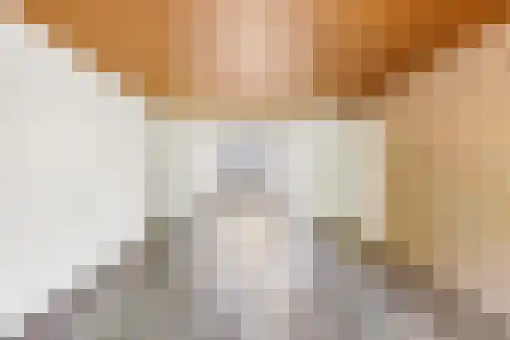 President Rooseveltlaan 126 Vlissingen thumbnail 9