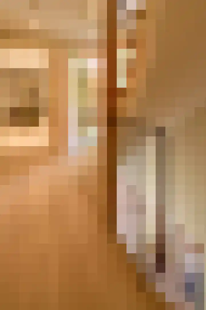 President Rooseveltlaan 13 Helmond thumbnail 33