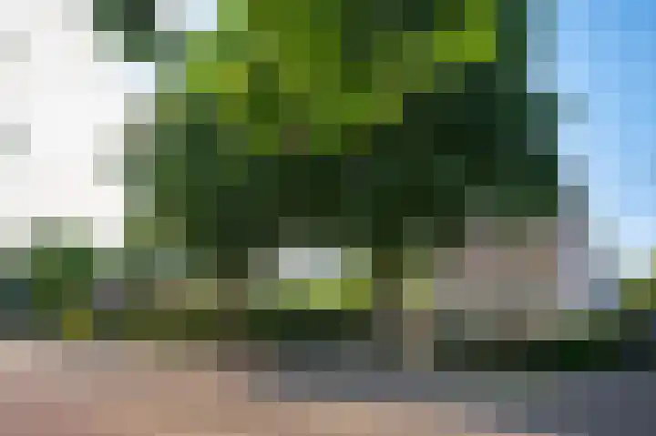 President Rooseveltlaan 13 Helmond thumbnail 47