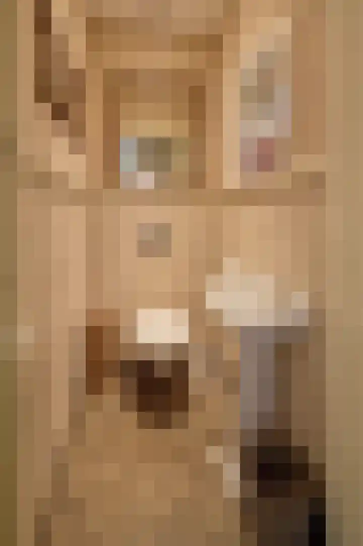 President Rooseveltlaan 13 Helmond thumbnail 5
