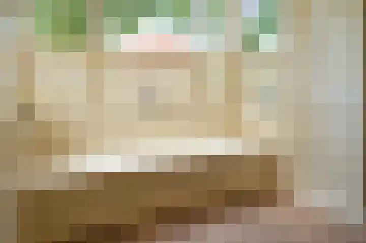 President Rooseveltlaan 13 Helmond thumbnail 8