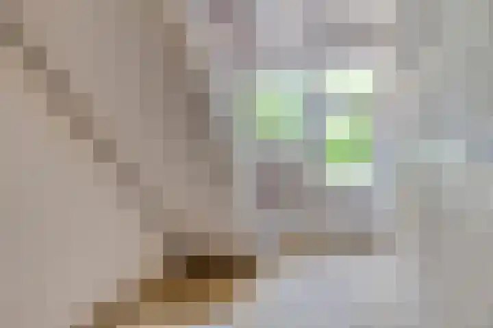 President Rooseveltlaan 132 Vlissingen thumbnail 21