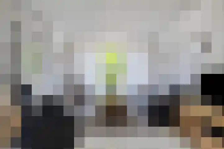 President Rooseveltlaan 132 Vlissingen thumbnail 4