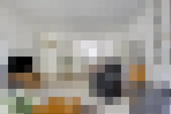 President Rooseveltlaan 132 Vlissingen thumbnail 5