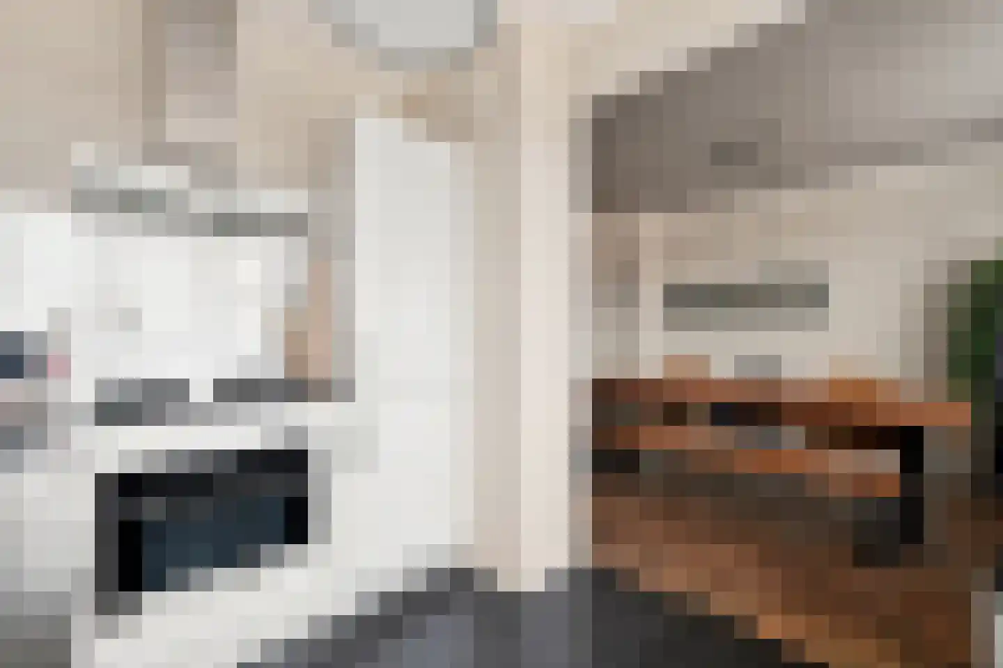 President Rooseveltlaan 140 Vlissingen thumbnail 14