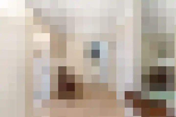 President Rooseveltlaan 158 Vlissingen thumbnail 7