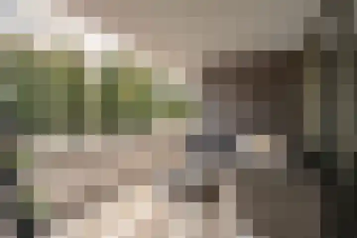 President Rooseveltlaan 168 D 01 Maastricht thumbnail 8