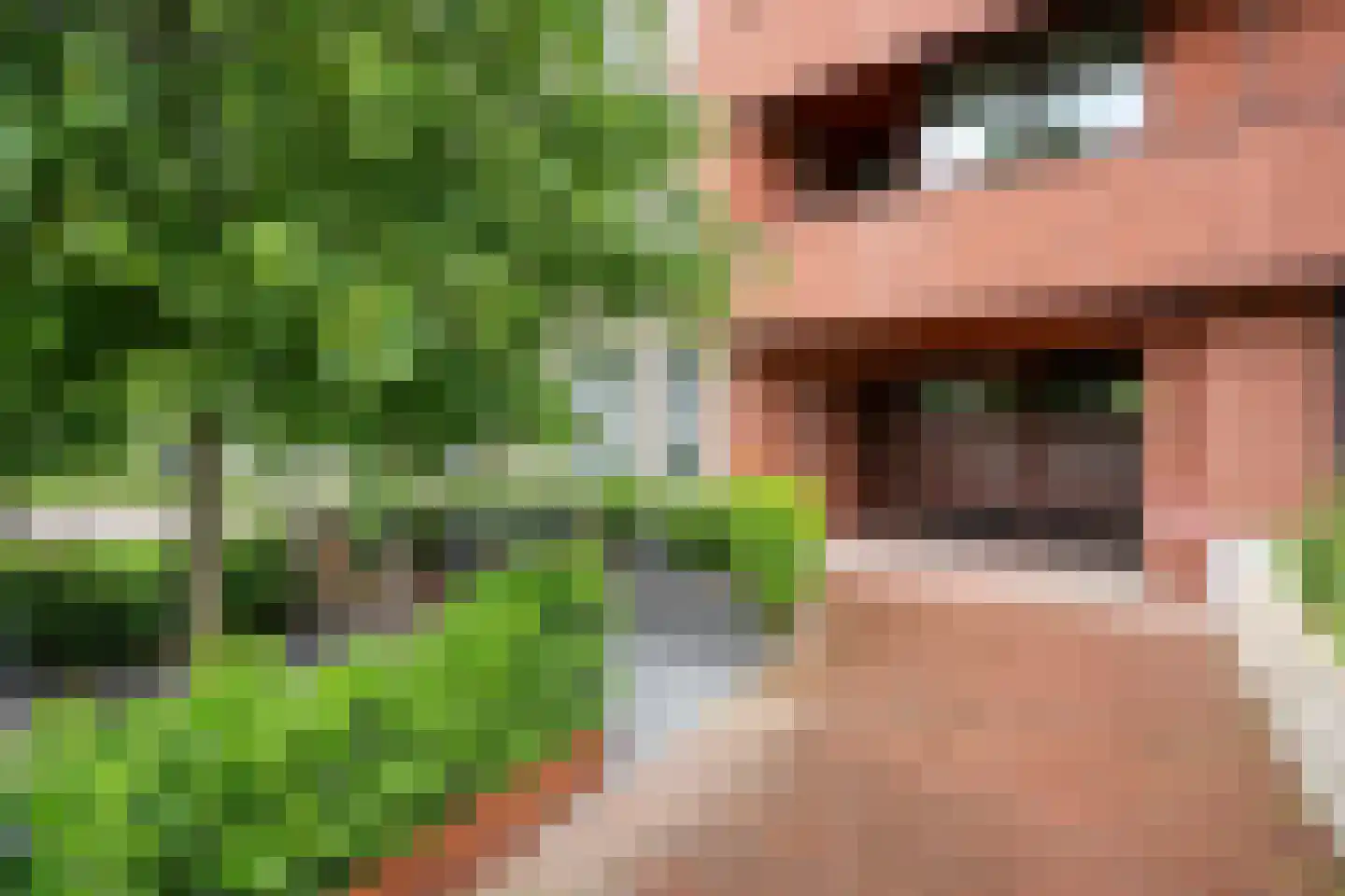 President Rooseveltlaan 18 H 01 Maastricht thumbnail 33