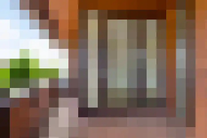 President Rooseveltlaan 18 M 02 Maastricht thumbnail 14