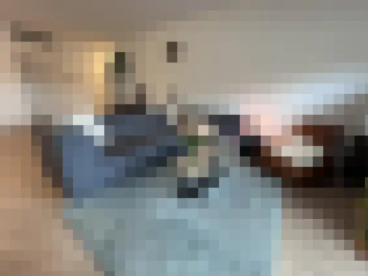 President Rooseveltlaan 18 Maastricht thumbnail 5