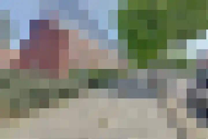 President Rooseveltlaan 185 Vlissingen thumbnail 5