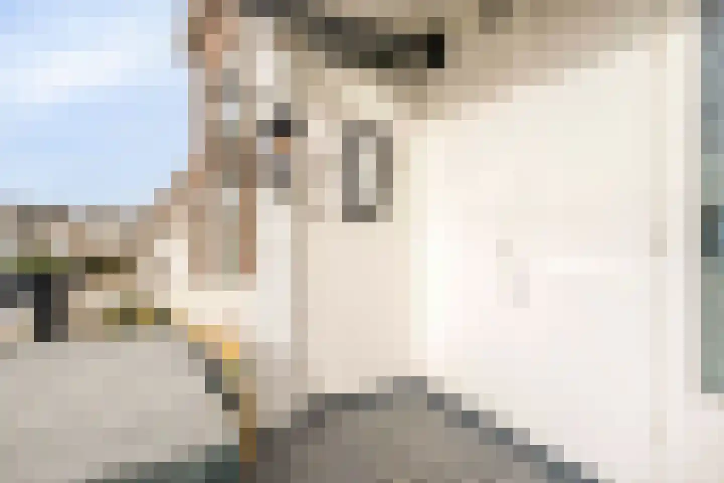 President Rooseveltlaan 212 Vlissingen thumbnail 12