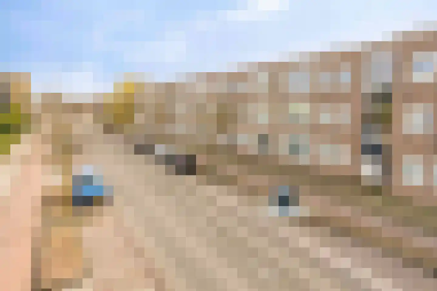 President Rooseveltlaan 212 Vlissingen thumbnail 26