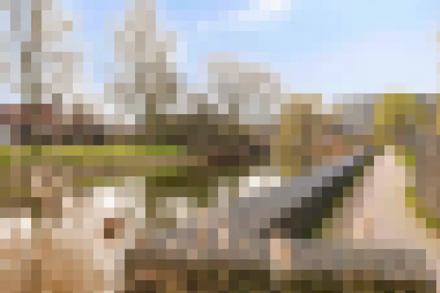 President Rooseveltlaan 212 Vlissingen thumbnail 29