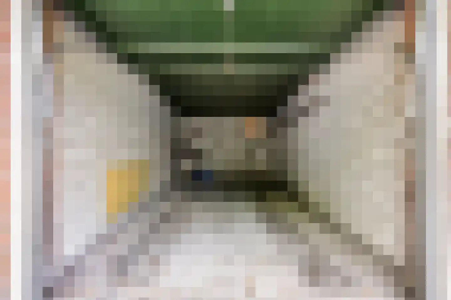 President Rooseveltlaan 26 Helmond thumbnail 39